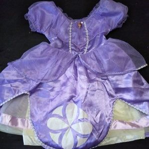Disney Princess Sofia purple flowers Halloween cos